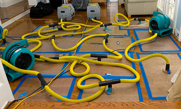 Professional Burst Pipe Water Damage technician working in Mead, NE